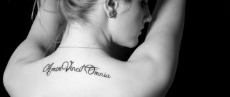 Frasi d'amore in latino per tatuaggi