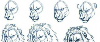 Dibujo a lápiz de una cabeza de león a lápiz paso a paso. Color, blanco y negro para niños