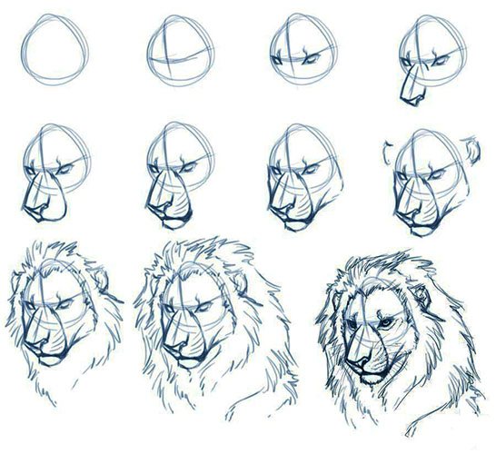 Lyijypiirros leijonan päästä. Väri, musta ja valkoinen lapsille