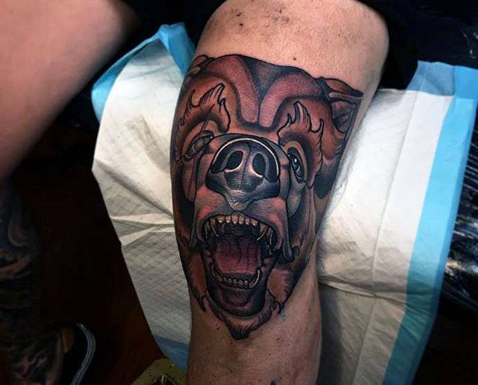 impronta animale da preda