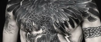 Hugin and Munin tattoo. Meaning, sketches on back, shoulder, neck, hand