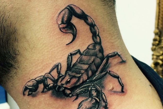 Idée pour un tatouage avec un scorpion
