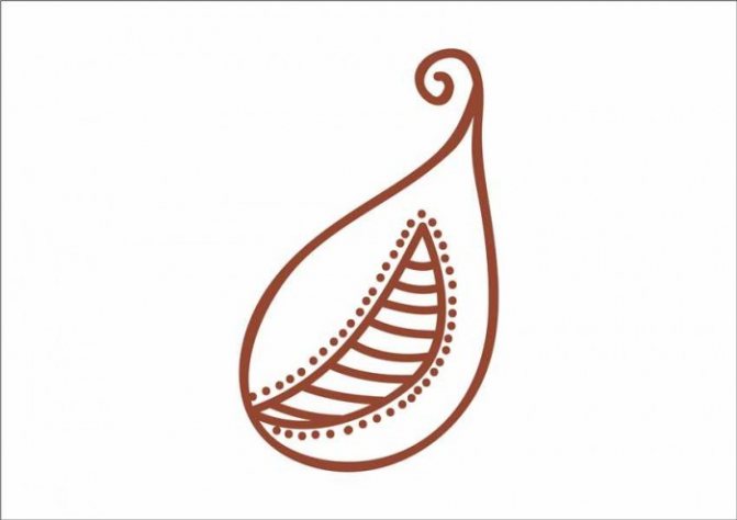 Concombre indien pour mehendi