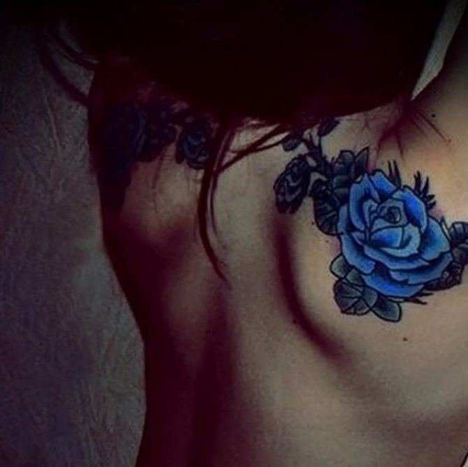 An interesting idea - to do a tattoo in the form of blue roses on both shoulder blades