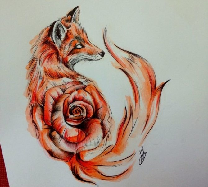 Interesting drawing sketch for a tattoo - a combination of a fox and a rose