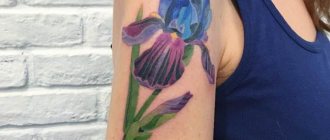 Iris auf der Schulter