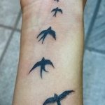 histoire de l'émergence