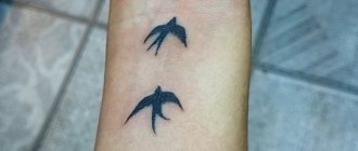 ιστορία της εμφάνισης