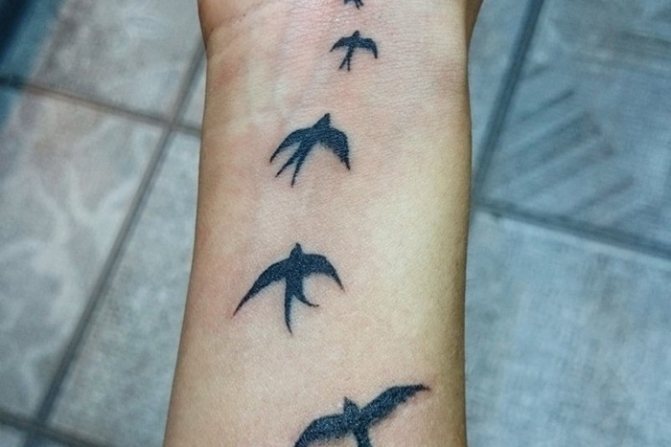 histoire de l'émergence