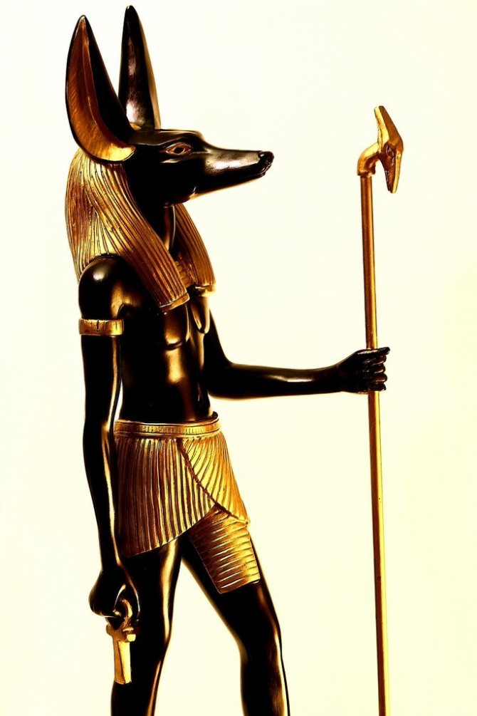 Image d'Anubis avec le sceptre des dieux Uas et le hiéroglyphe de la cheville