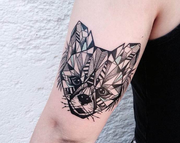 geometrický obraz lišky