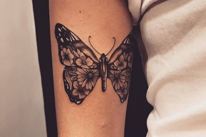 Imágenes de mariposas de henna