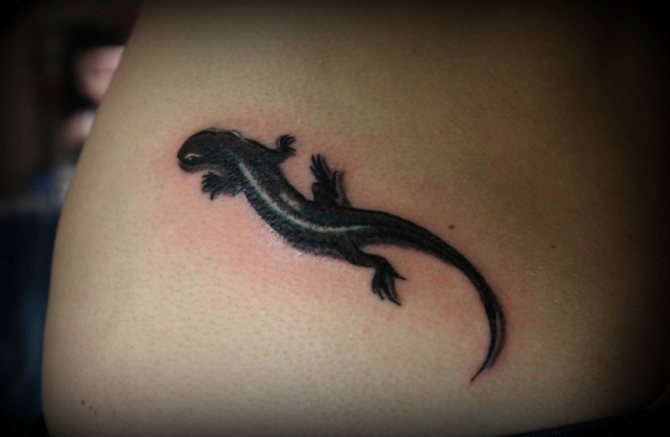 Елегантен и загадъчен гущер - идеалният талисман за татуировки за момичета