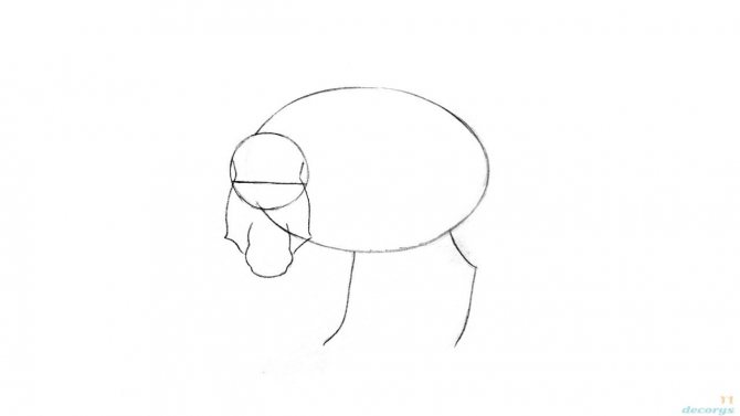 sanglier avec crayons