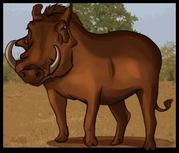 Dessiner un sanglier pour les enfants crayon et peinture