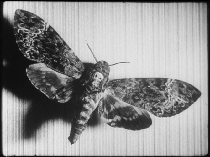 Images du film Chien andalou. Fragment 5