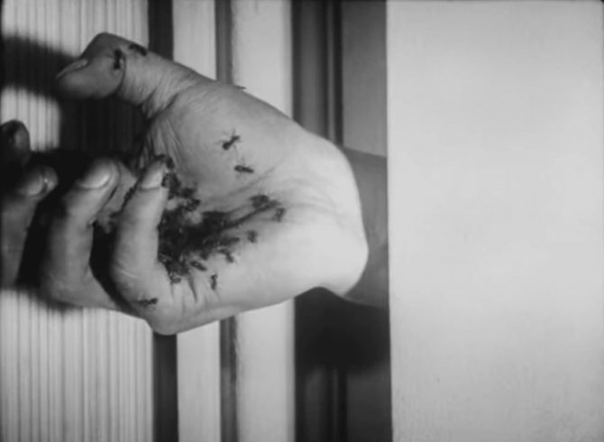 Images du film Chien andalou. Fragment 6