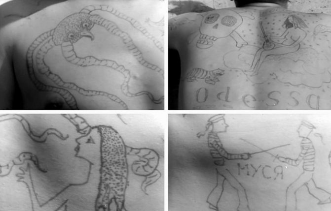 Bilder aus dem Film Serjosha