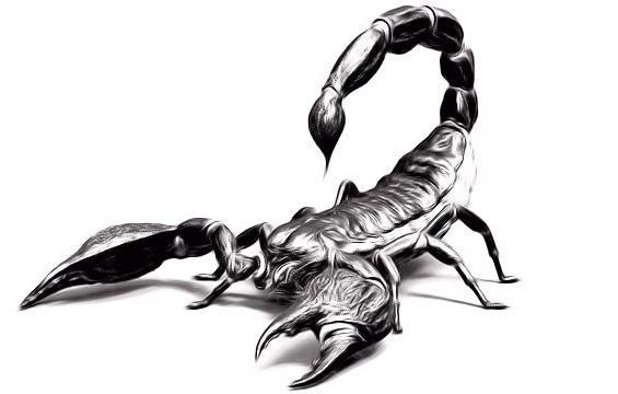 tatouages sur le pénis