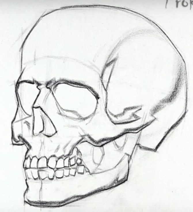 Comment dessiner un crâne
