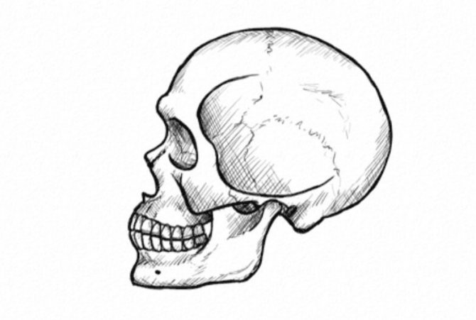 Comment dessiner un crâne