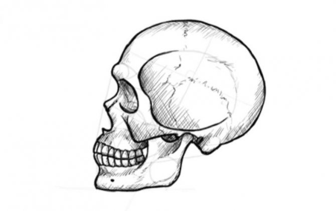 Comment dessiner un crâne