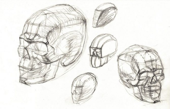 Comment dessiner un crâne