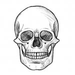 Comment dessiner un crâne