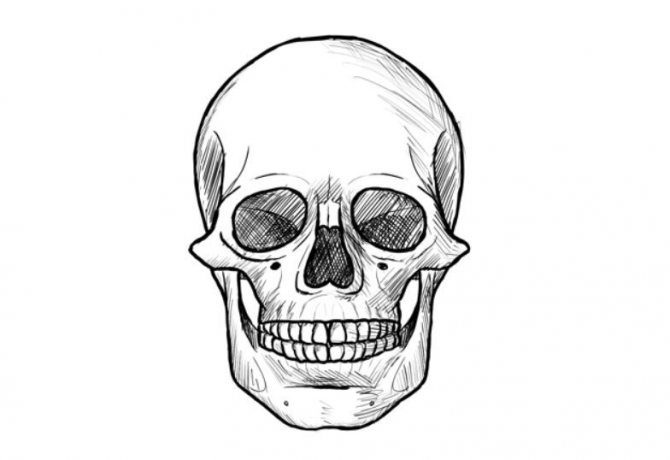 Comment dessiner un crâne