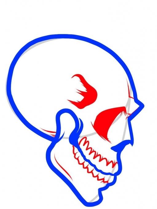 comment dessiner un crâne