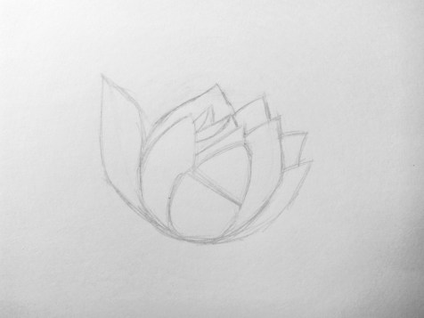 Comment dessiner une fleur avec un crayon ? Une leçon étape par étape. Étape 5. Portraits au crayon - Fenlin.ru