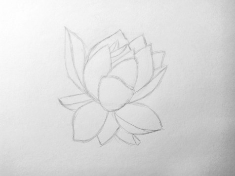 Comment dessiner une fleur avec un crayon ? Une leçon étape par étape. Étape 6. Portraits au crayon - Fenlin.ru
