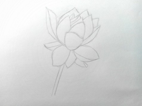Comment dessiner une fleur au crayon ? Une leçon étape par étape. Étape 7. Portraits au crayon - Fenlin.ru