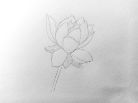 Comment dessiner une fleur avec un crayon ? Leçon étape par étape. Étape 8. Portraits au crayon - Fenlin.ru