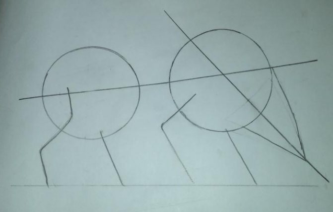 Comment dessiner un sanglier étape par étape