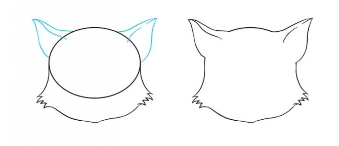 Comment dessiner un chat