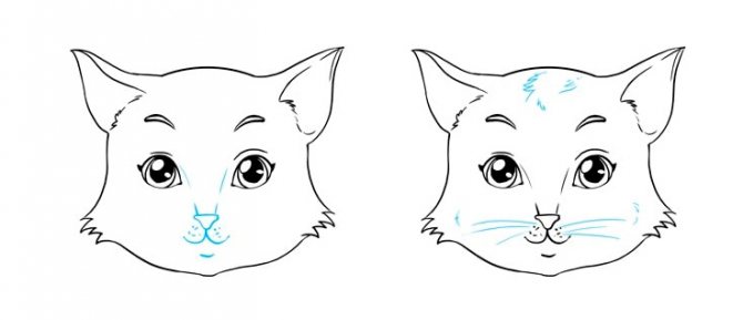 Comment dessiner un chat