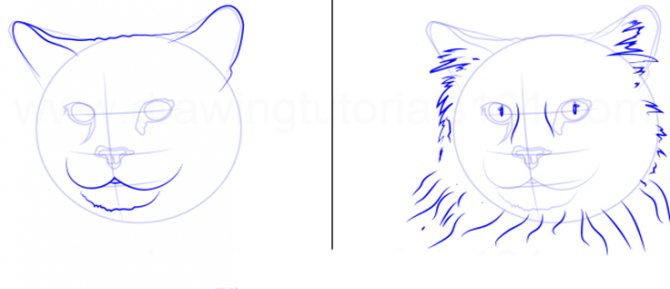Comment dessiner un chat
