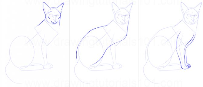 Comment dessiner un chat