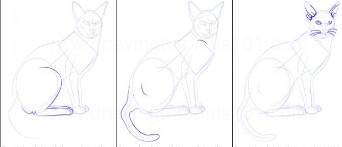Comment dessiner un chat