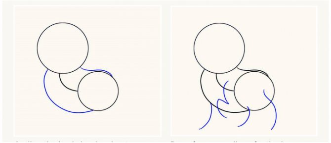 Comment dessiner un chat