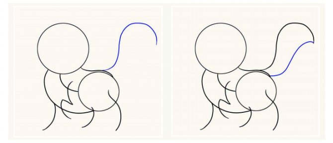 Comment dessiner un chat