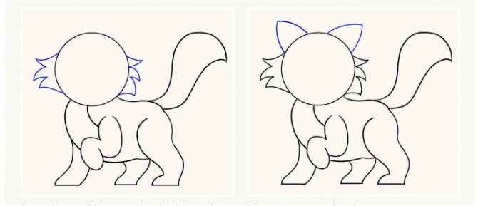 Comment dessiner un chat
