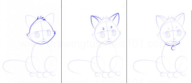 Comment dessiner un chat