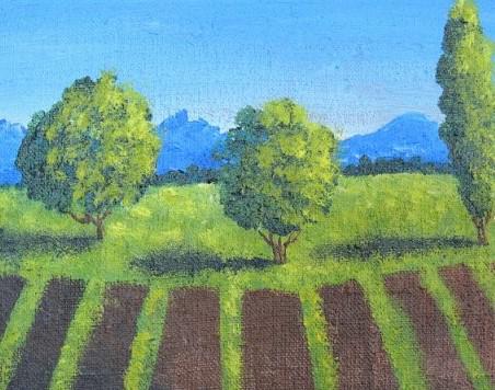 comment dessiner la lavande au crayon étape par étape pour les débutants