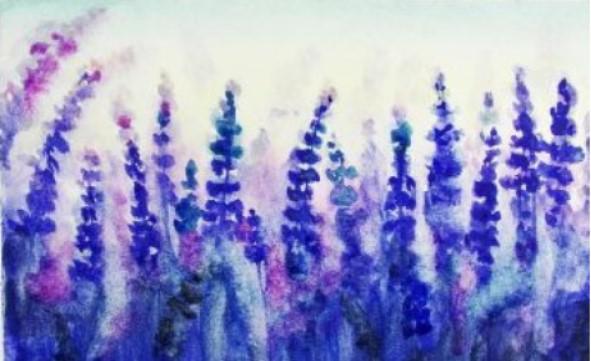 comment dessiner la lavande au crayon