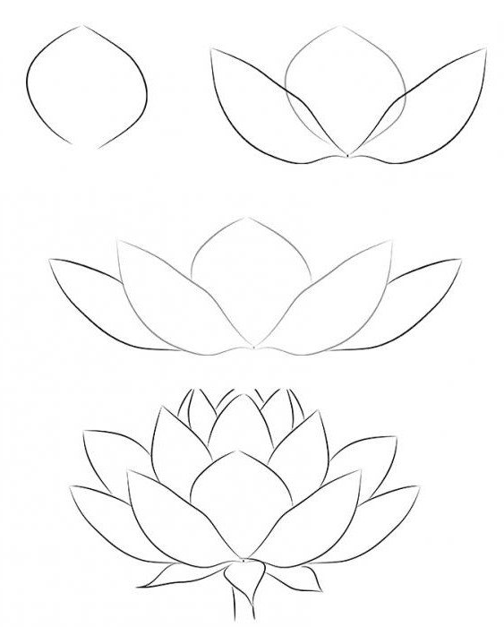 comment dessiner un lotus en phases