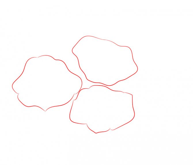 Hogyan rajzoljunk egy rózsát