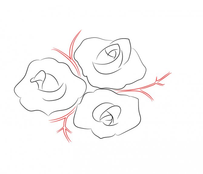 Hogyan kell rajzolni egy rózsát
