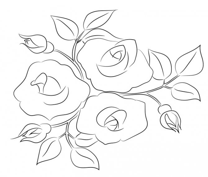 Hogyan kell rajzolni egy rózsát